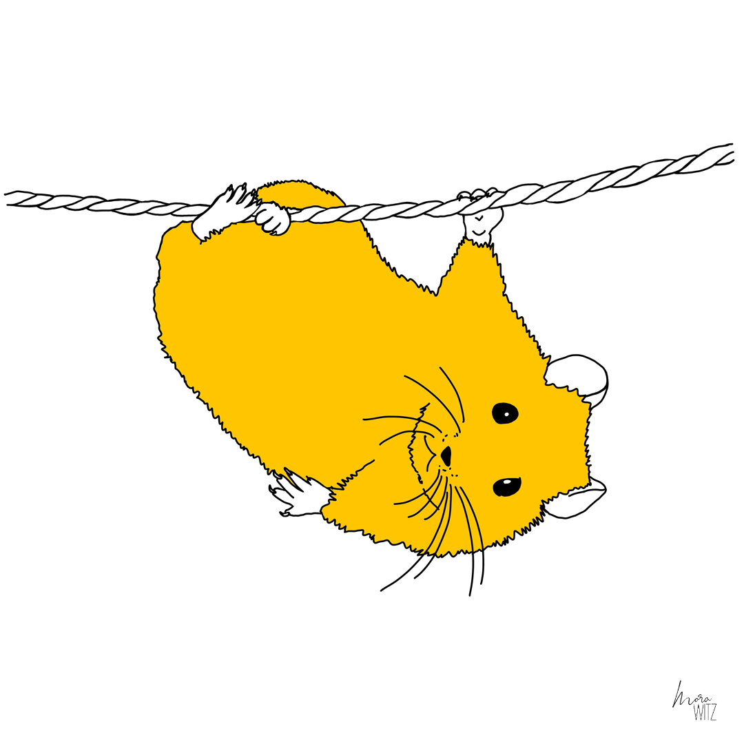 Illustration von einem Hamster, der an einem Seil klettert