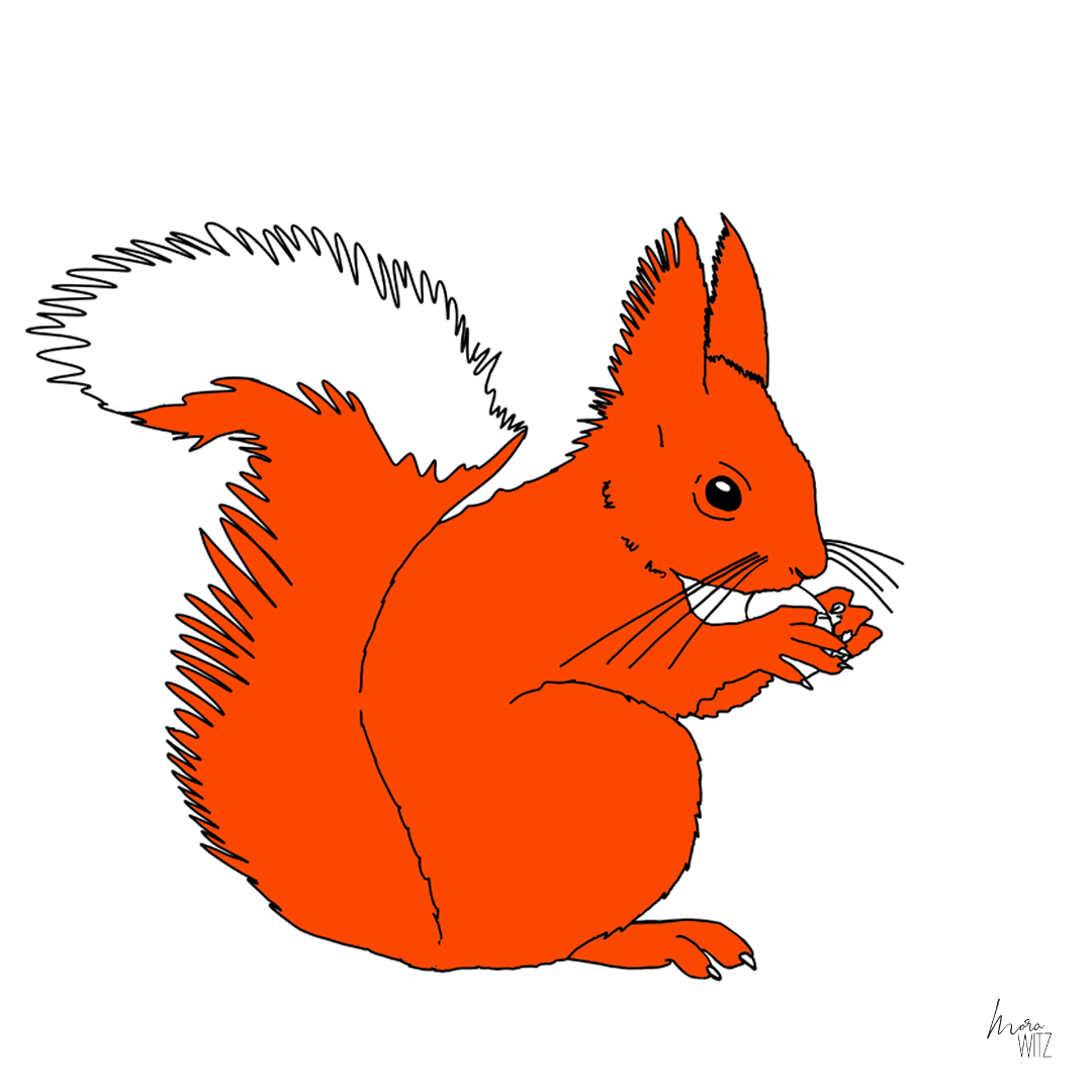 Illustration von einem Eichhörnchen