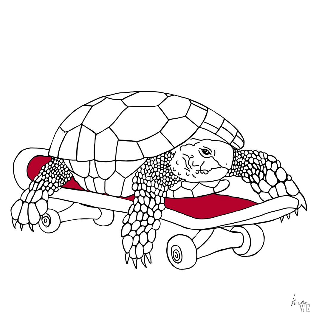 Illustration einer Schildkröte, die Skateboard fährt