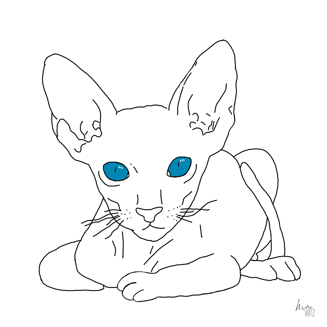 Illustration einer Katze