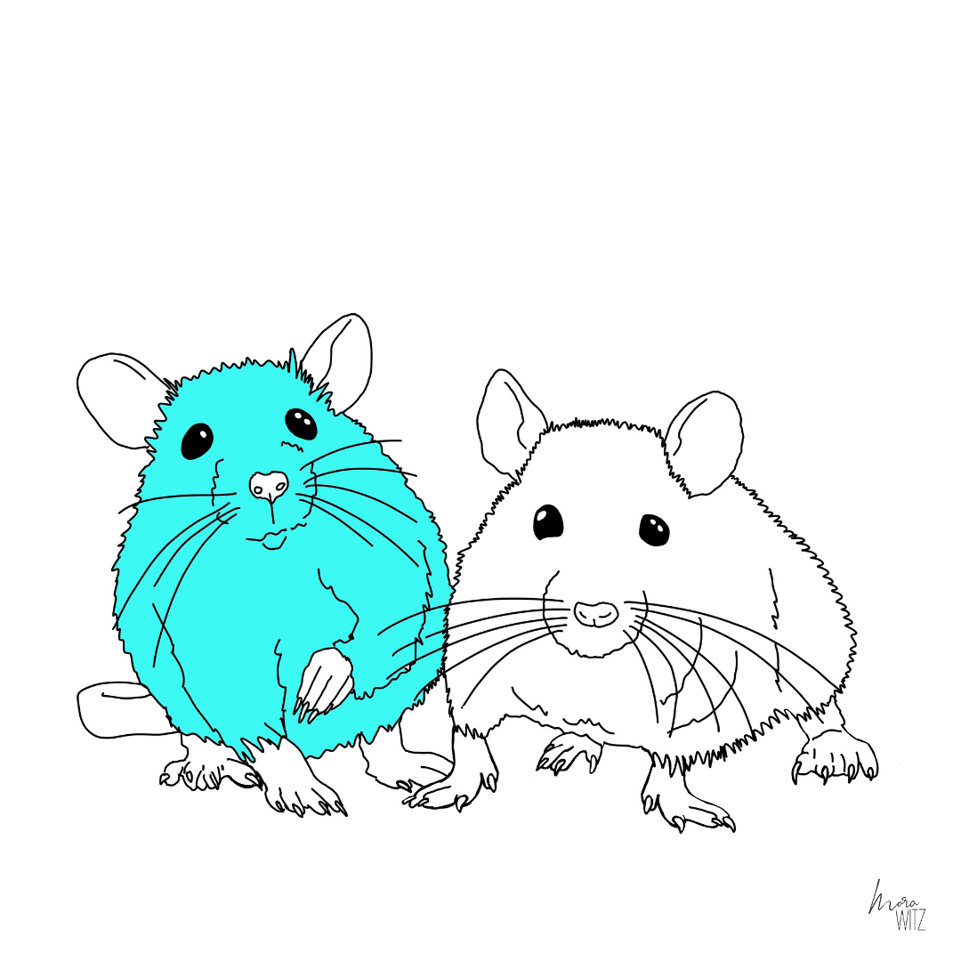 Illustration von 2 Ratten