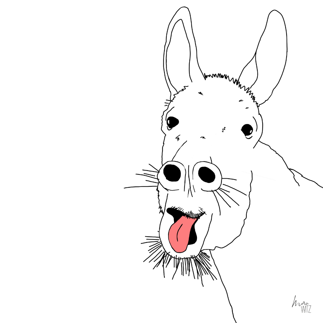 Illustration eines Esels 