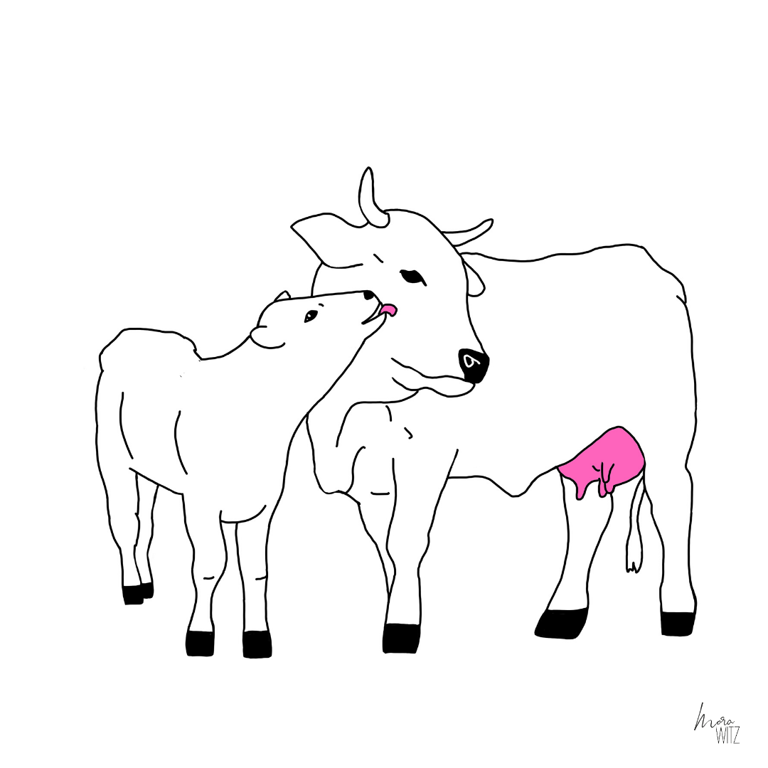 Illustration einer Kuh mit ihrem Kalb